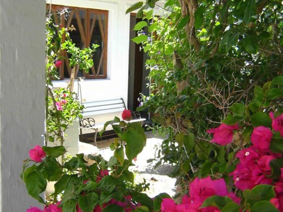 Alternative Space B & B Swakopmund Luaran gambar