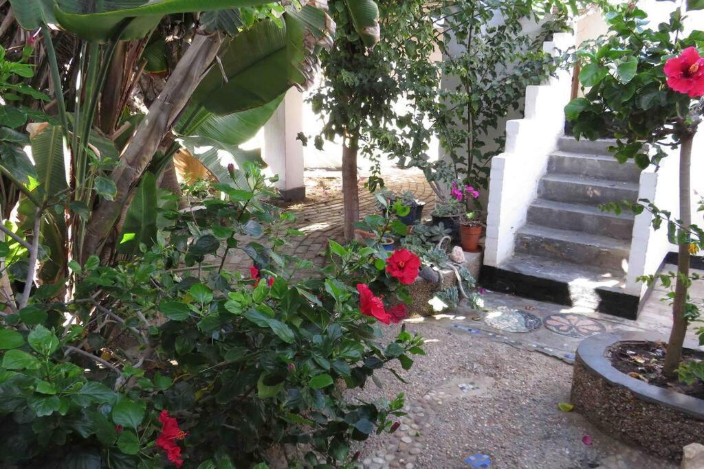 Alternative Space B & B Swakopmund Luaran gambar