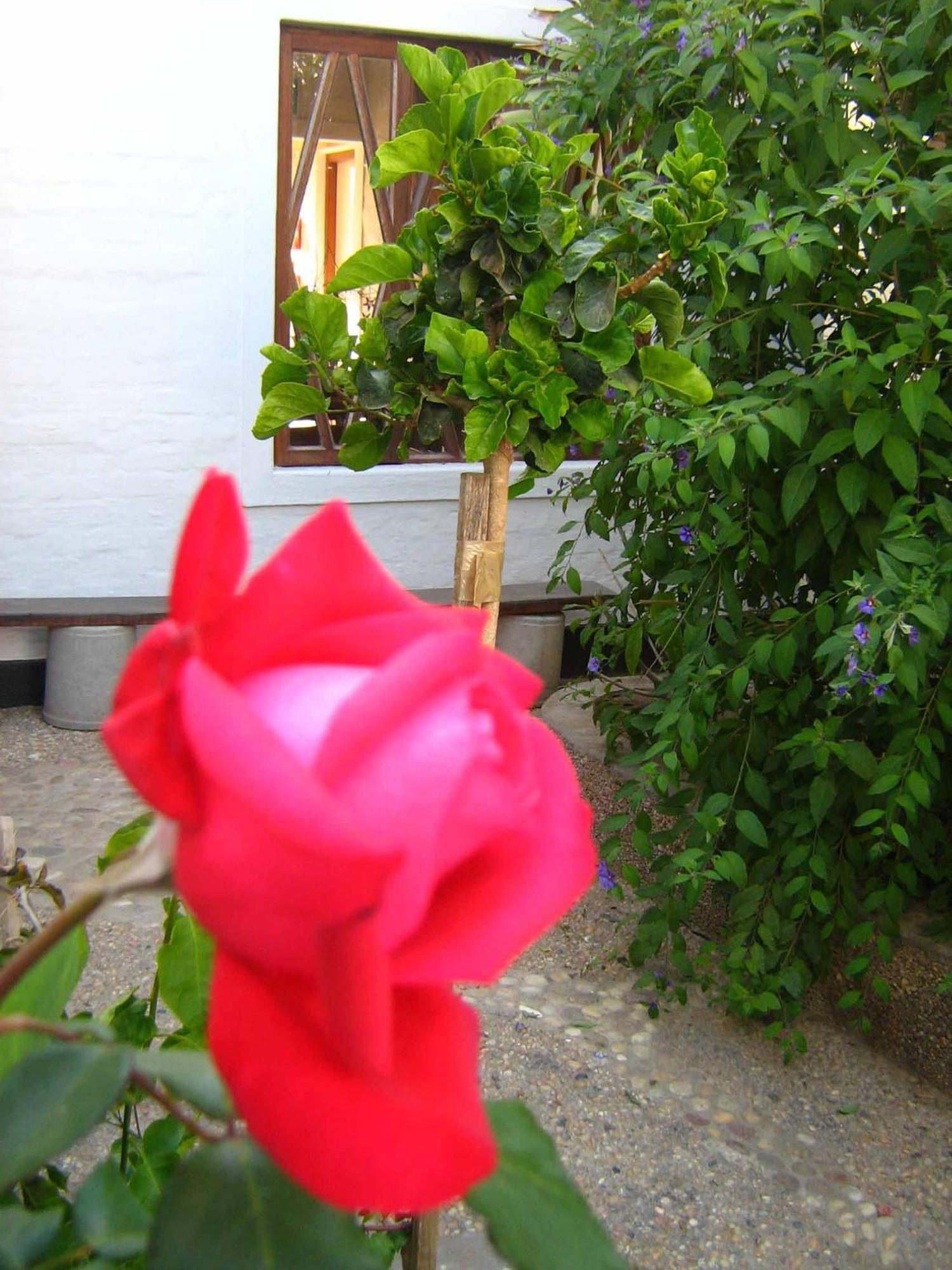 Alternative Space B & B Swakopmund Luaran gambar