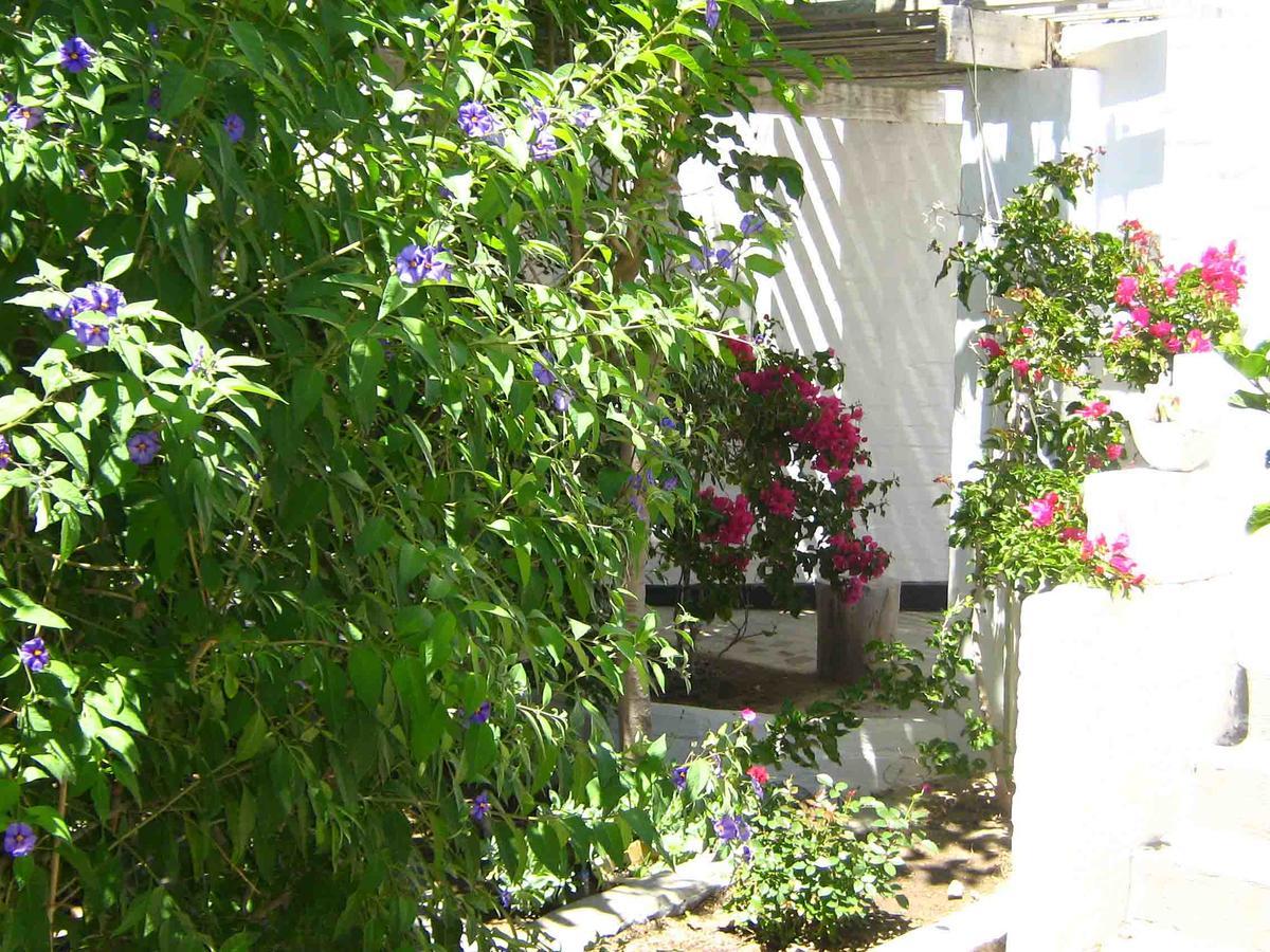 Alternative Space B & B Swakopmund Luaran gambar