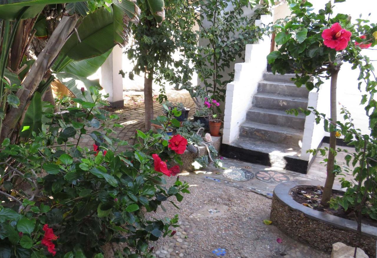 Alternative Space B & B Swakopmund Luaran gambar